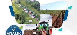 2/B ARAZİLERİ İLE TARIM ARAZİLERİNİN SATIŞINDA BAŞVURU VE ÖDEME SÜRELERİ UZATILDI